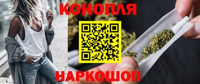 дживик Можга