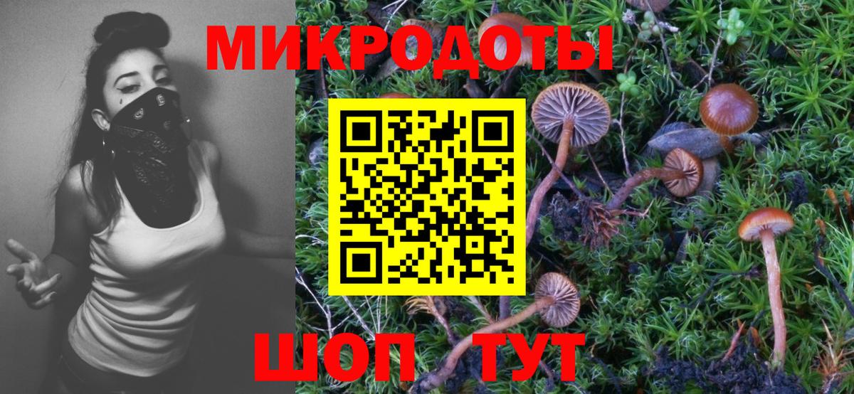 Губаха  Псилоцибиновые грибы прущие грибы  Вход с VPN 
