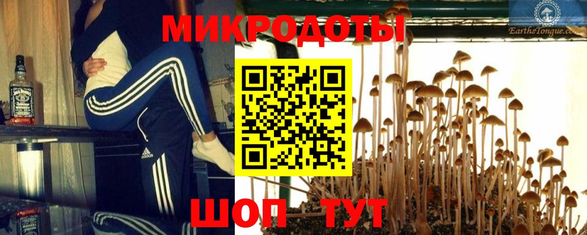 Галлюциногенные грибы прущие грибы Губаха