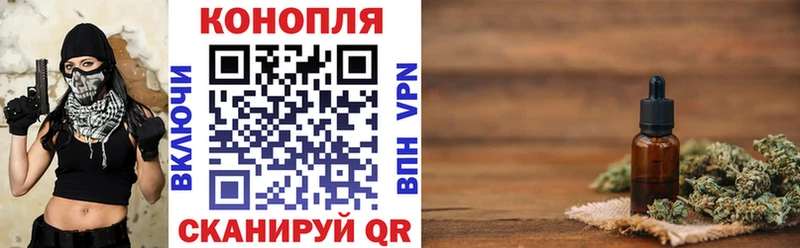 Канабис сатива  Губаха 
